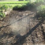 大分　大分市　石材　お墓　墓石　霊園　寺院墓地　お墓じまい　お墓の解体工事 お墓の引越し　改葬