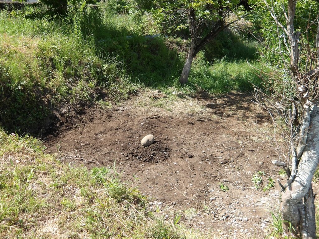 大分　大分市　石材　お墓　墓石　霊園　寺院墓地　お墓じまい　お墓の解体工事 お墓の引越し　改葬